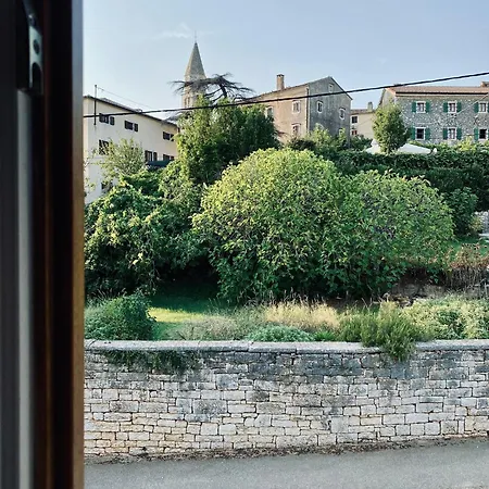 The Village View *